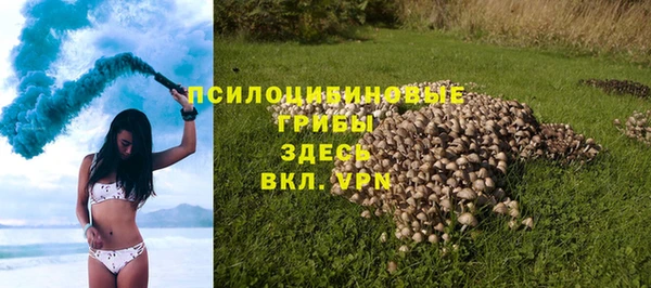 тгк Козловка
