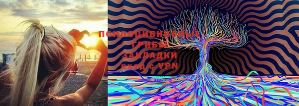 тгк Козловка