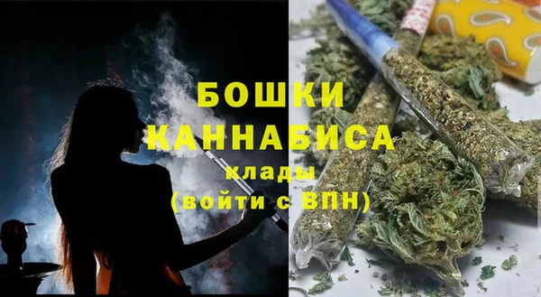 прущий лед Козельск