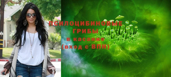 эйфоретик Майский