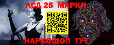 гашик Гатчина