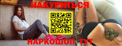 гашик Гатчина