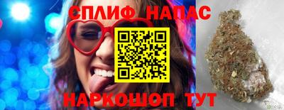 гашик Гатчина