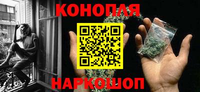 гашик Гатчина