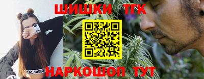 гашик Гатчина