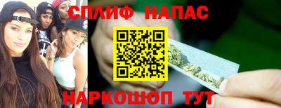 гашик Гатчина